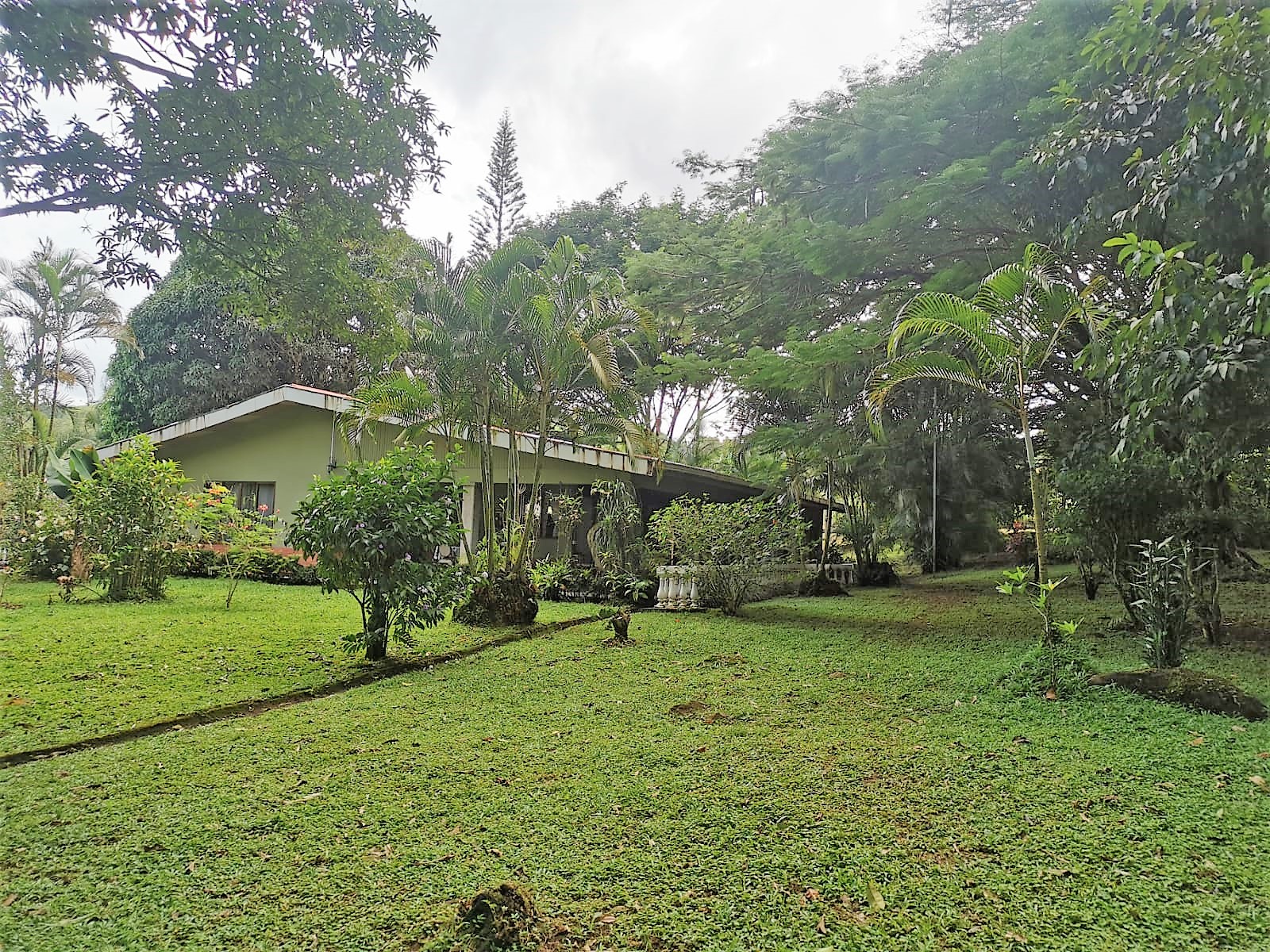 VENTA DE QUINTA, ALAJUELA, SAN CARLOS, AGUAS ZARCAS