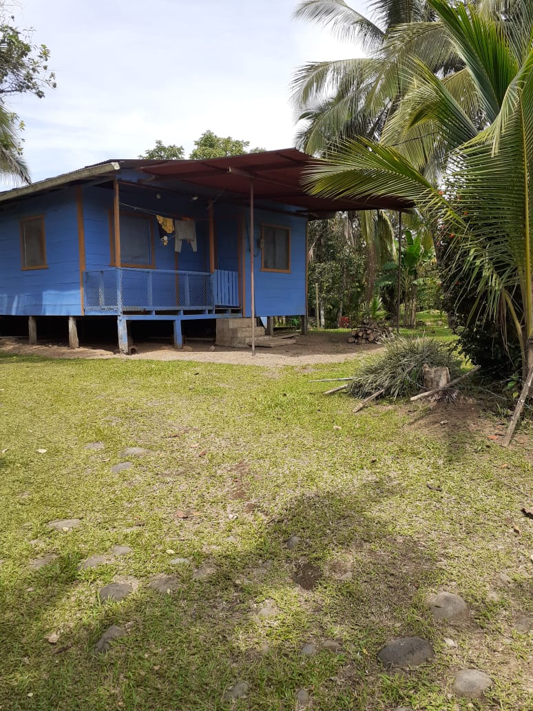 VENTA DE FINCA AGRICOLA, HEREDIA, SARAPIQUI, HORQUETAS