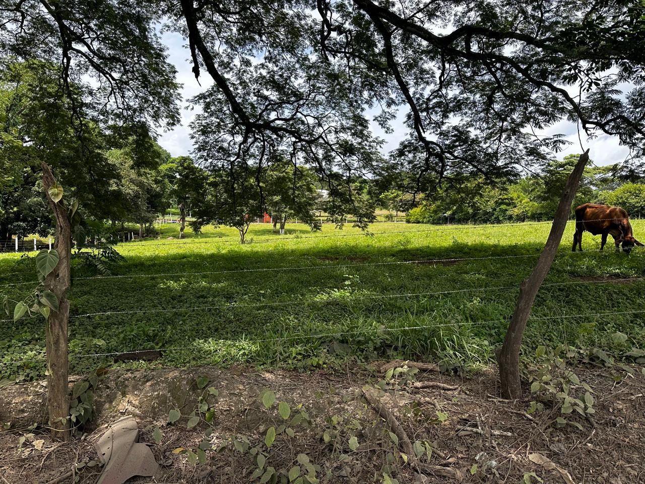 VENTA DE LOTE, ALAJUELA, ALAJUELA, TURRUCARES