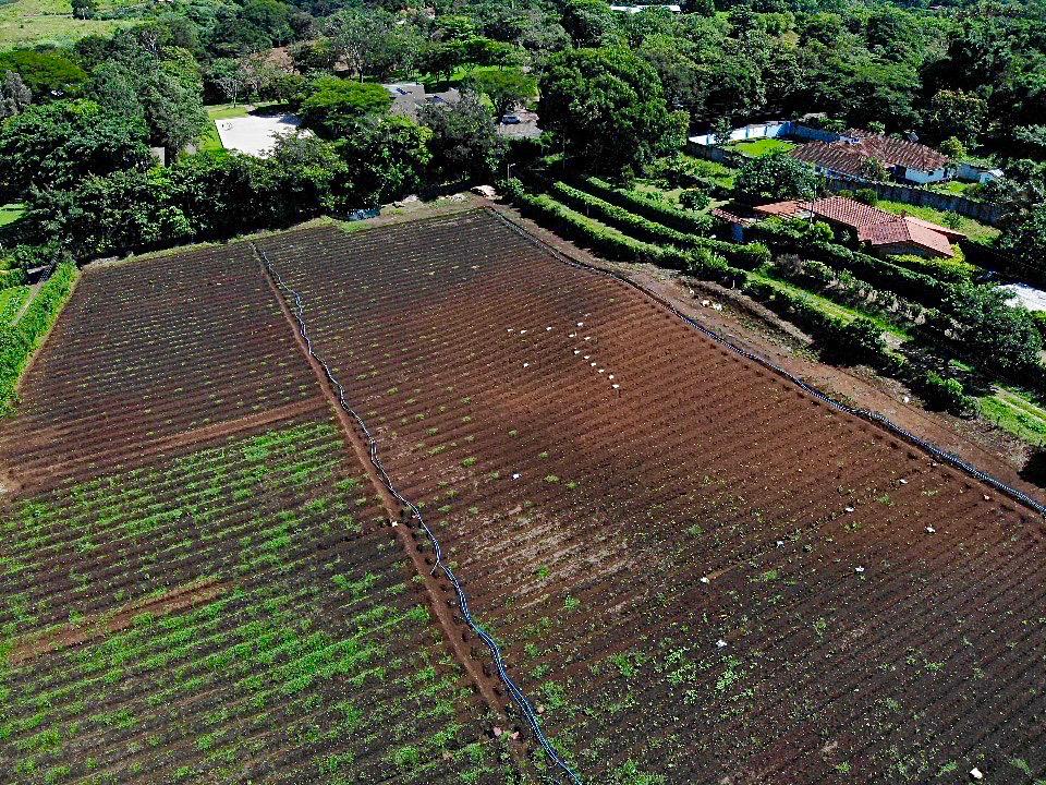 VENTA DE LOTE USO MIXTO, ALAJUELA, SAN RAFAEL, CALLE LA CAÑADA