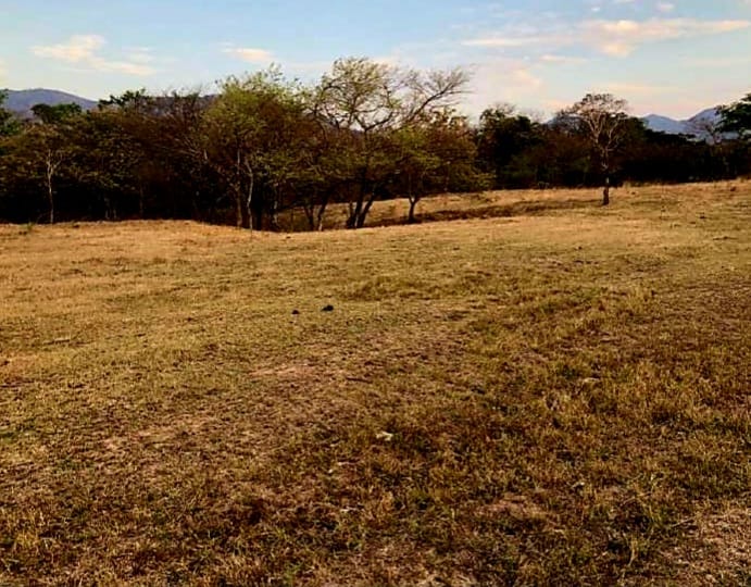 VENTA DE LOTE, GUANACASTE, SANTA CRUZ