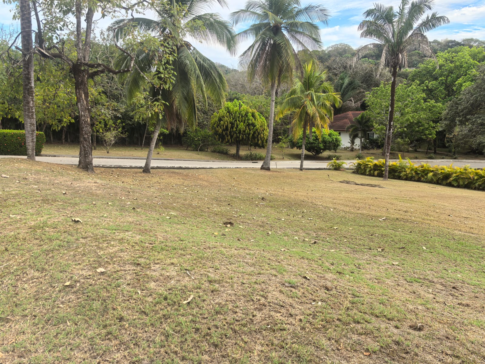 VENTA DE LOTE, GUANACASTE, HOJANCHA, CONDOMINIO LOMA VERDE