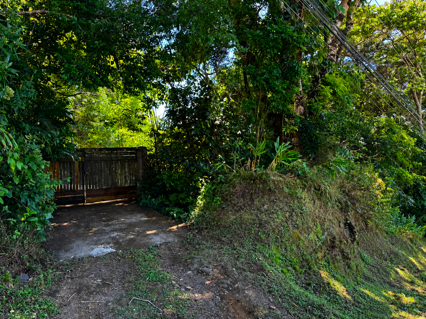 VENTA DE LOTE, USO MIXTO, HEREDIA, BARVA, SAN JOSÉ DE LA MONTAÑA