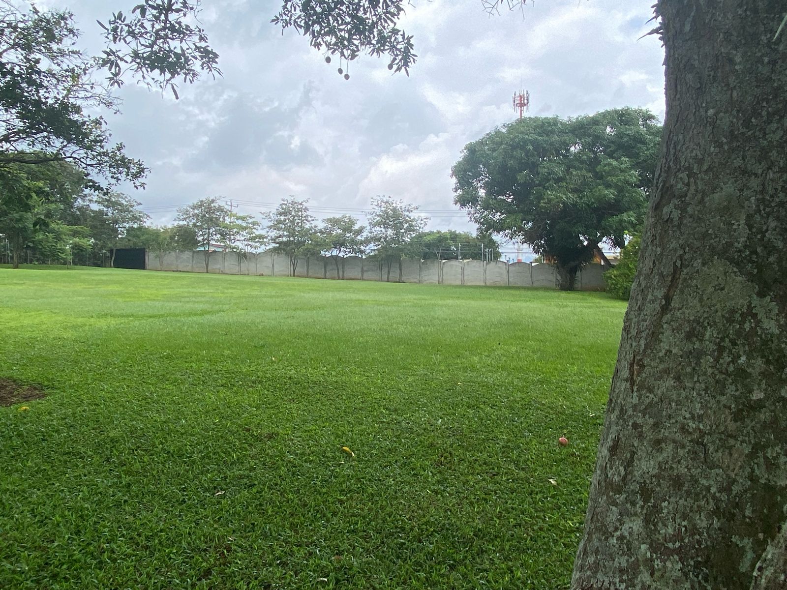 VENTA DE LOTE ALAJUELA, TAMBOR, EL CACAO