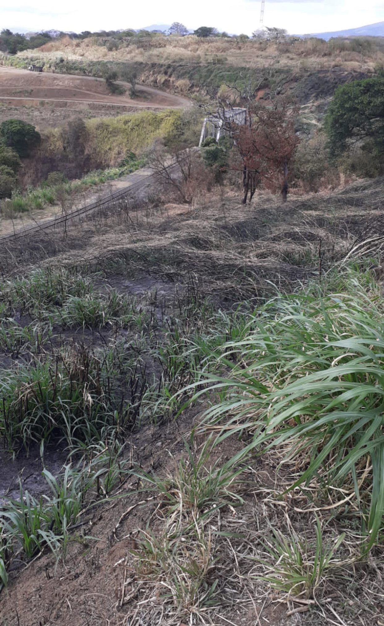 VENTA DE LOTE, SAN JOSE, TIBAS