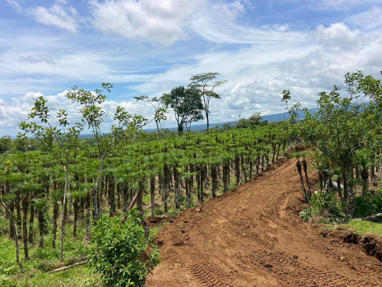 VENTA DE QUINTA, ALAJUELA, GRECIA, RIO CUARTO