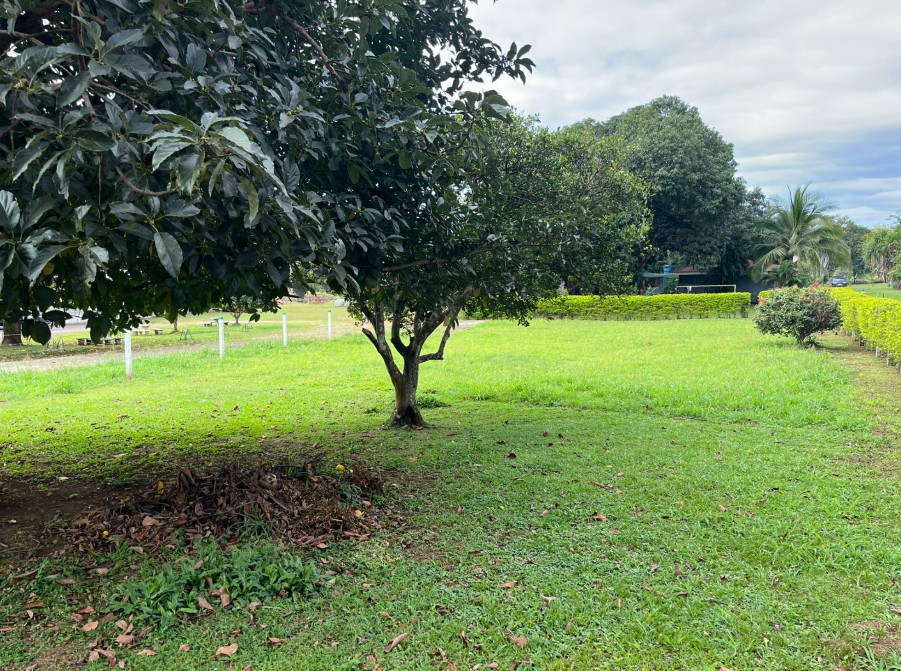 VENTA DE LOTE DE USO MIXTO, ALAJUELA, OROTINA