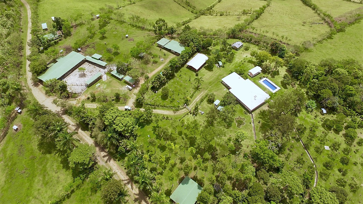 VENTA DE FINCA, PUNTARENAS, COTO BRUS, SAN VITO