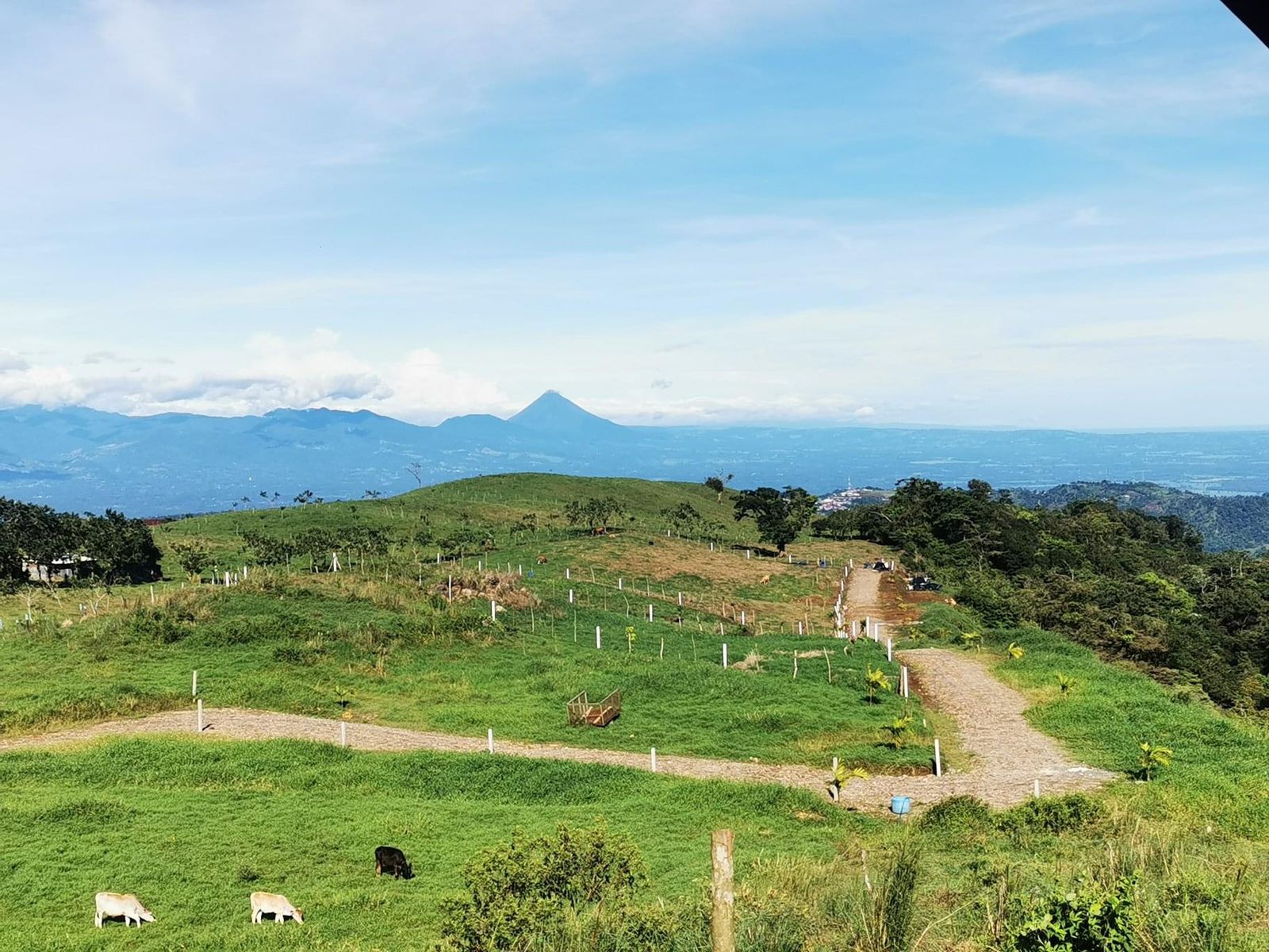 VENTA DE LOTES RESIDENCIALES, ALAJUELA, SAN CARLOS, CIUDAD QUESADA&nbsp;