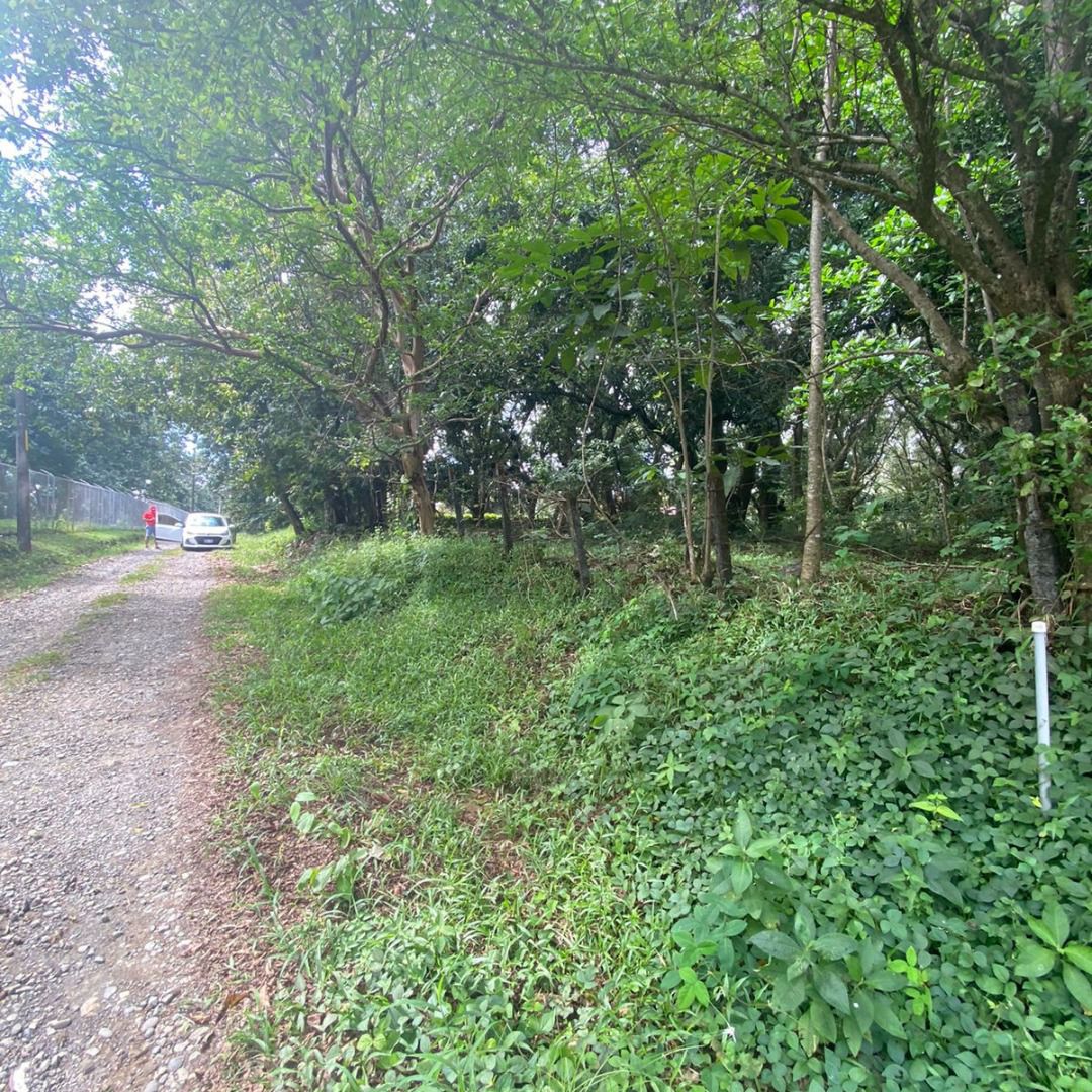 VENTA DE LOTE,  USO MIXTO, ALAJUELA, OROTINA, HACIENDA VIEJA