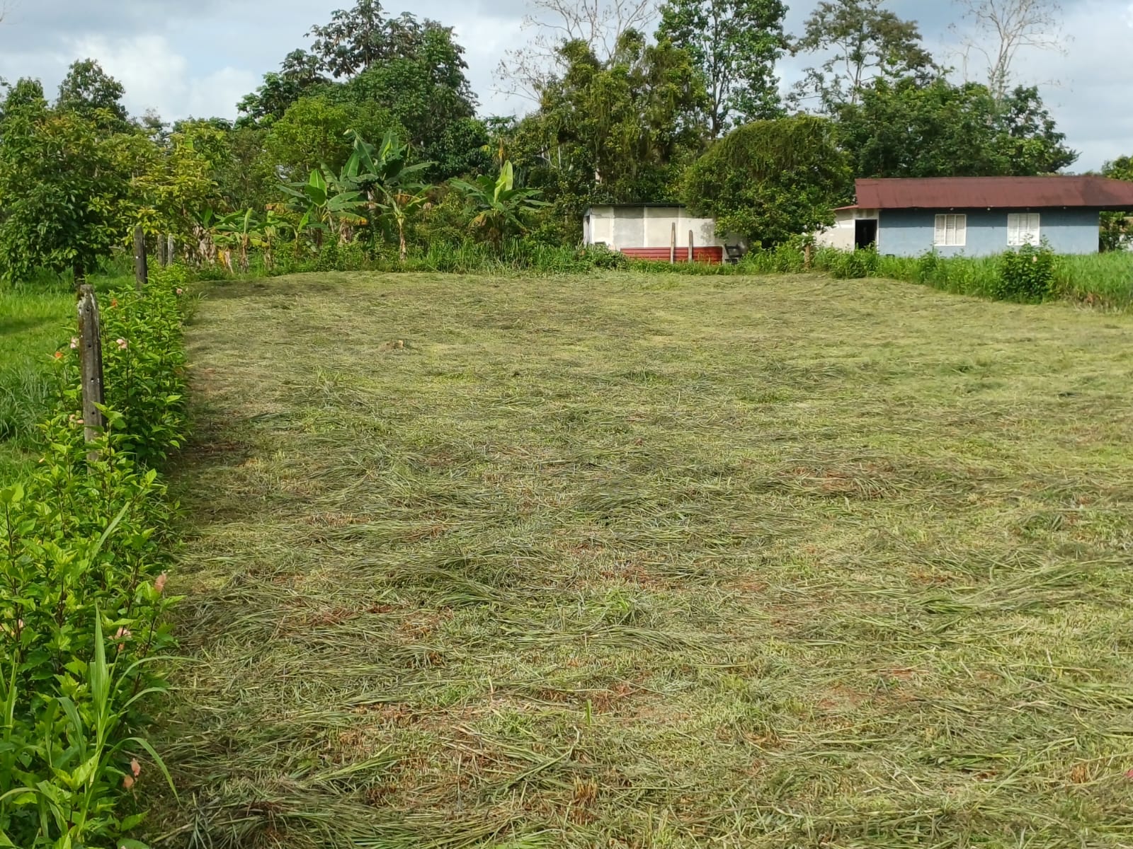 VENTA DE LOTE USO DE SUELO MIXTO, HEREDIA, SARAPIQUI, HORQUETAS