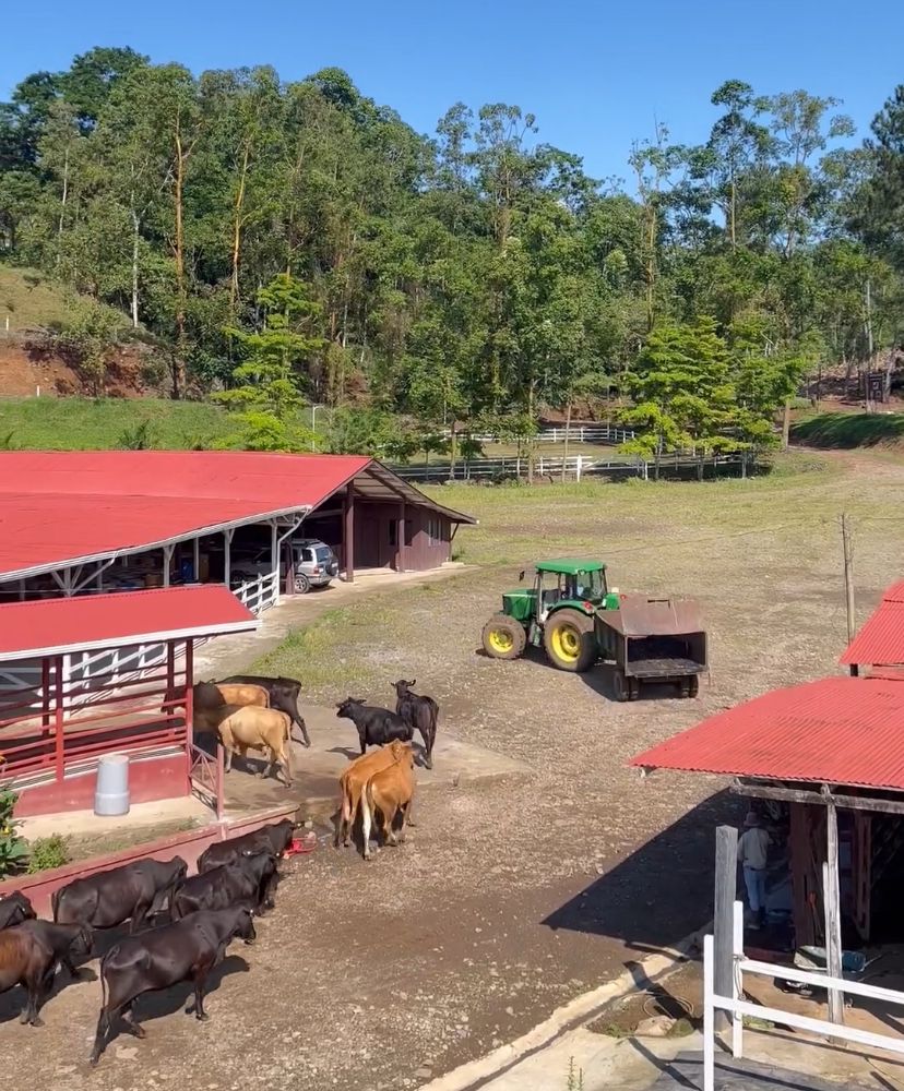 VENTA DE FINCA GANADERA, CARTAGO, TURRIALBA