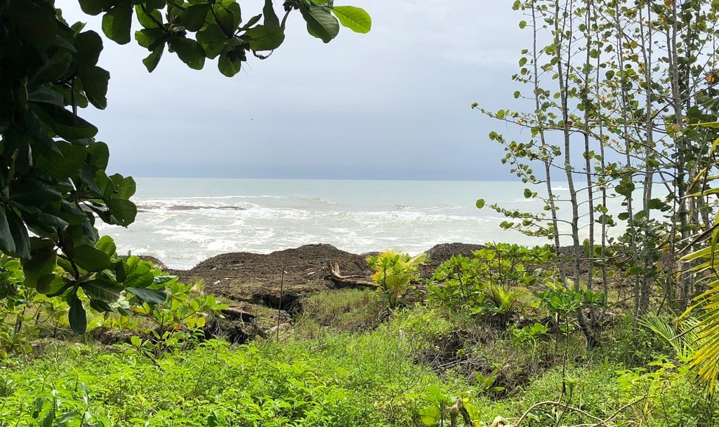 VENTA DE LOTE, LIMÓN, LIMÓN CENTRO