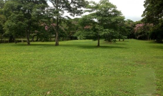 VENTA DE LOTE PARA DESARROLLO RESIDENCIAL, ALAJUELA, EL COYOL