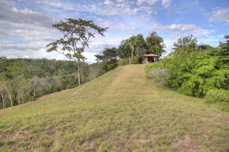 VENTA DE QUINTA, PUNTARENAS, GARABITO, TÁRCOLES