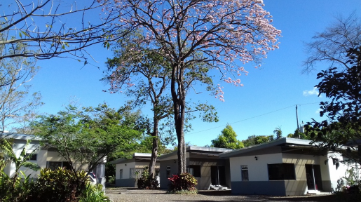 VENTA DE FINCA MEDIA DENSIDAD, CON CASA Y 8 APTOS, ALAJUELA, EL COYOL