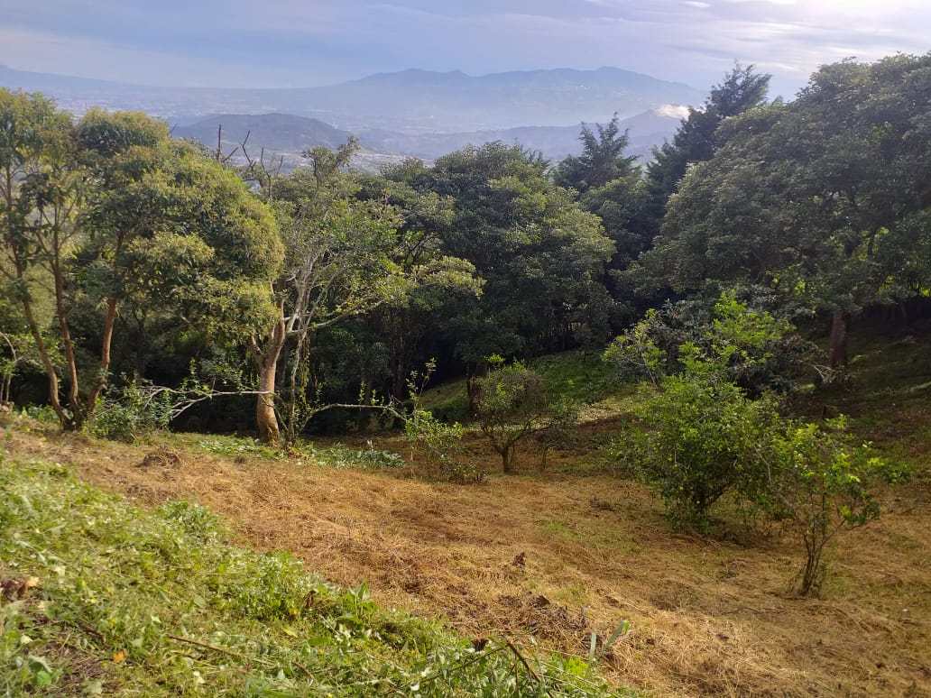 VENTA DE LOTE, SAN JOSÈ, DESAMPARADOS, JERICO