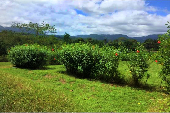 VENTA DE LOTE, ALAJUELA, SAN CARLOS, PEÑAS BLANCAS, CHACHAGUA.