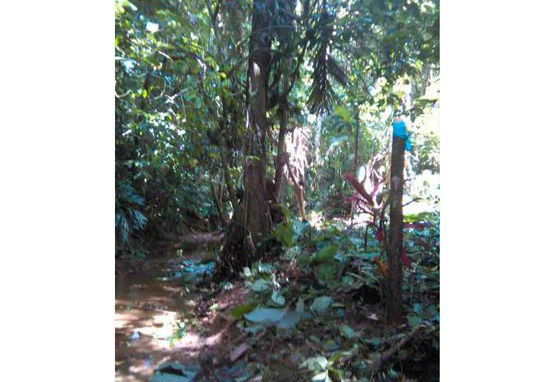 VENTA DE LOTE, LIMÓN, PUERTO VIEJO, COCLES