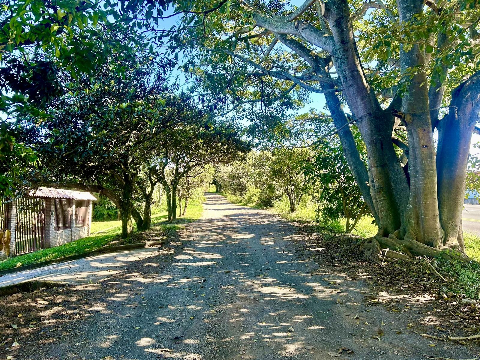 VENTA DE LOTE USO MIXTO, HEREDIA, SANTO DOMINGO, SAN MIGUEL