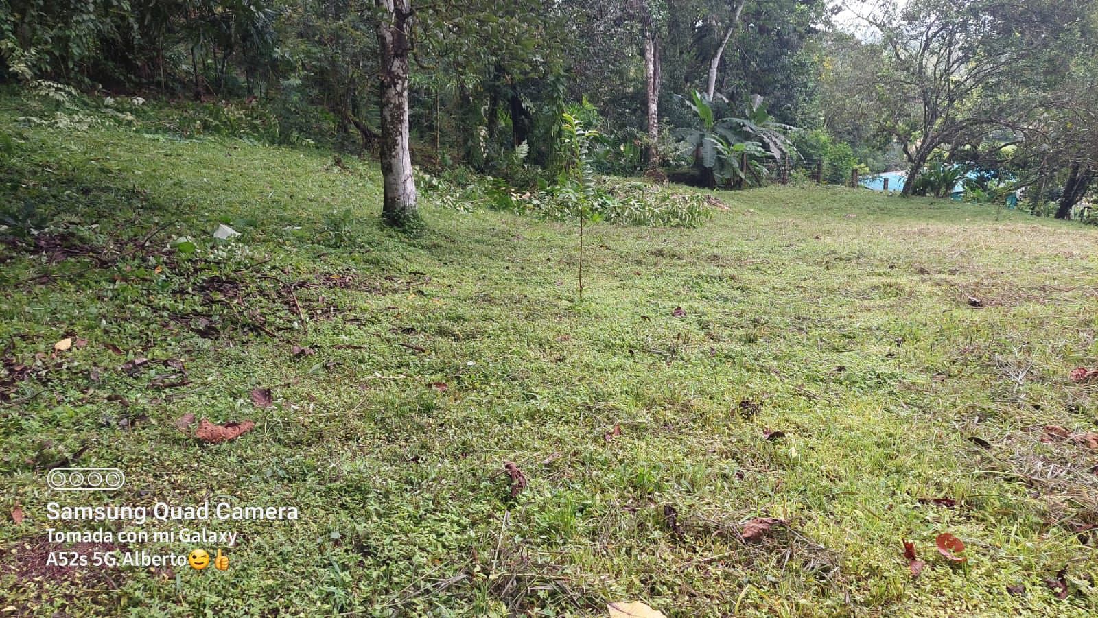 VENTA DE FINCA, PUNTARENAS, GOLFITO