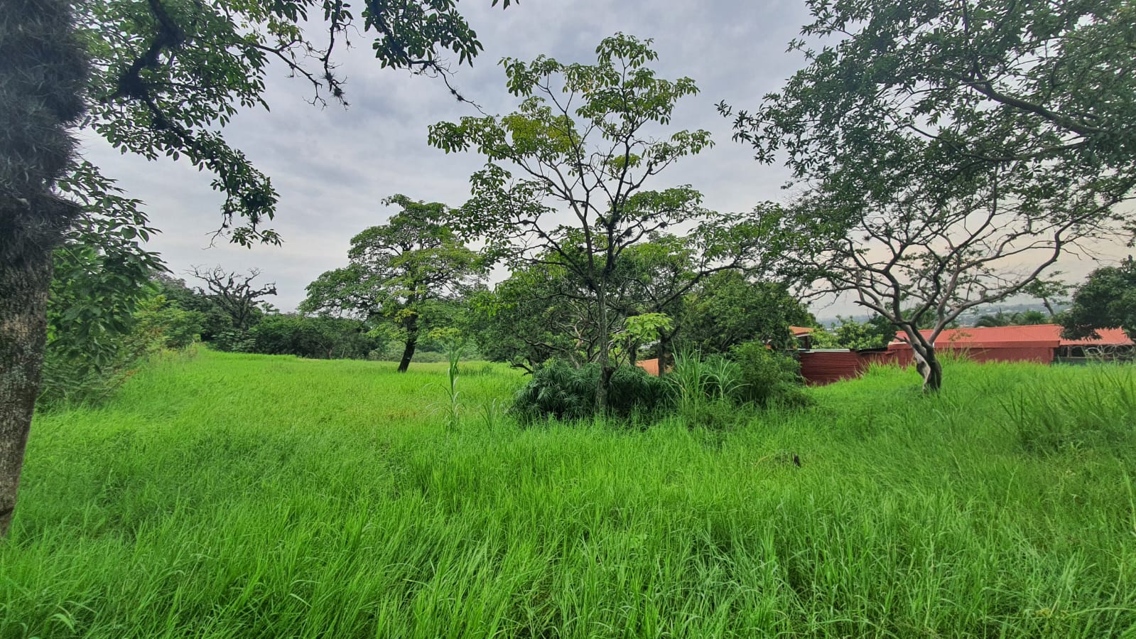 VENTA DE LOTE USO MIXTO Y MEDIA DENSIDAD, SAN JOSE, SANTA ANA, POZOS
