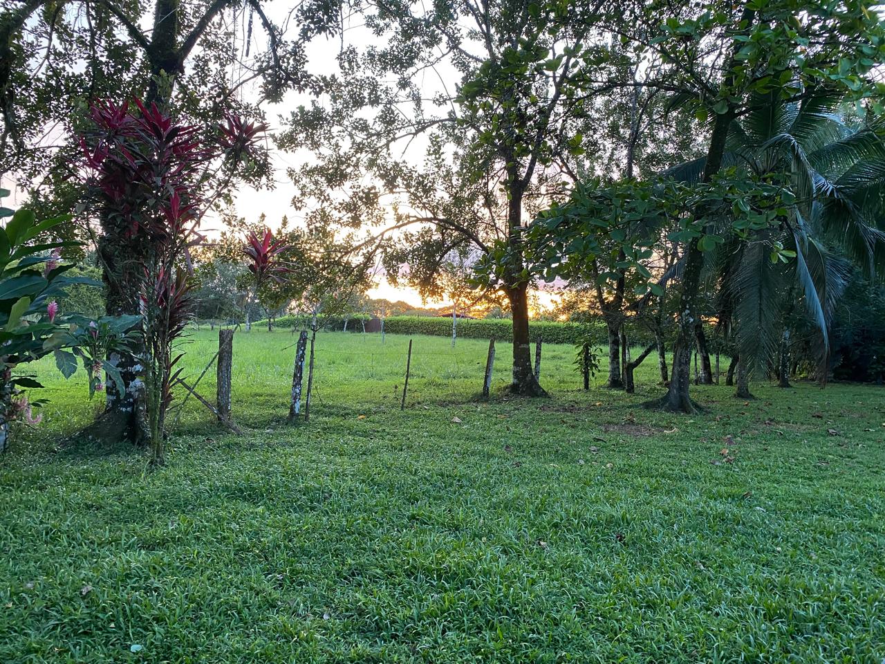 VENTA DE FINCA CON CASA,&nbsp;HEREDIA, SARAPIQUÍ, LA VIRGEN