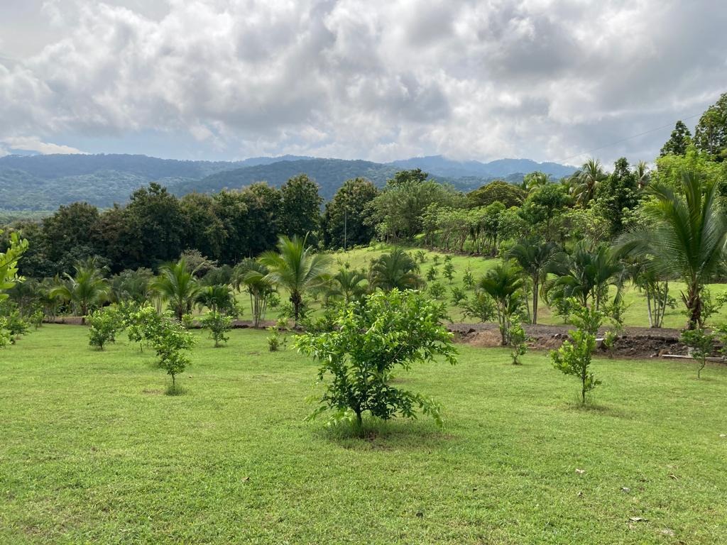 VENTA DE QUINTA, PUNTARENAS, GARABITO, TARCOLES.  