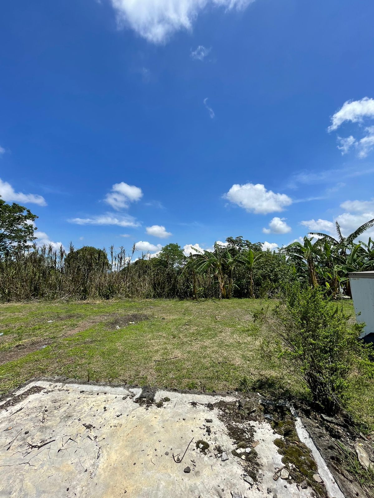 VENTA DE FINCA PARA DESARROLLO RESIDENCIAL, ALAJUELA, CANOAS