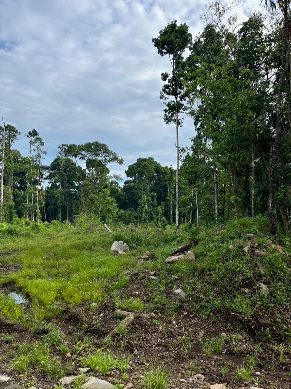 VENTA DE QUINTAS ECOLÓGICAS, LIMÓN, SUERRE, POCOCÍ