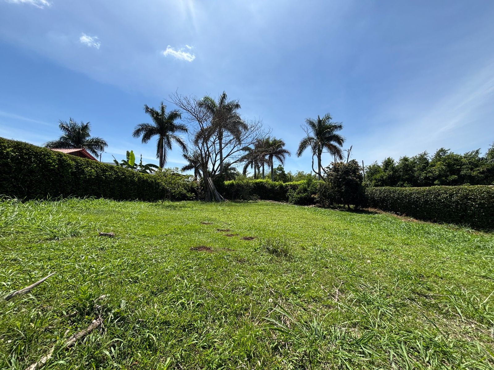Imagen de Se Vende Lote en Cerritos - Pereira
