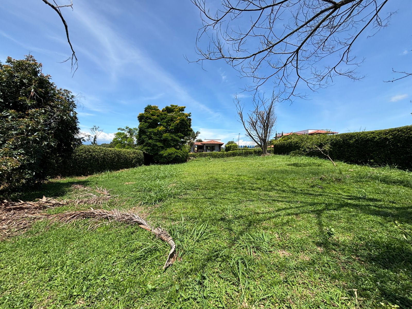 Imagen de Se Vende Lote en Cerritos - Pereira