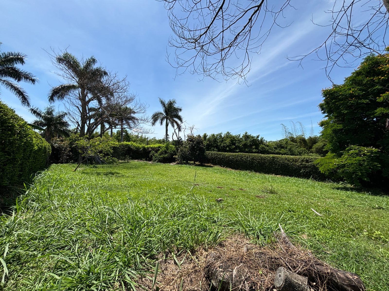 Imagen de Se Vende Lote en Cerritos - Pereira
