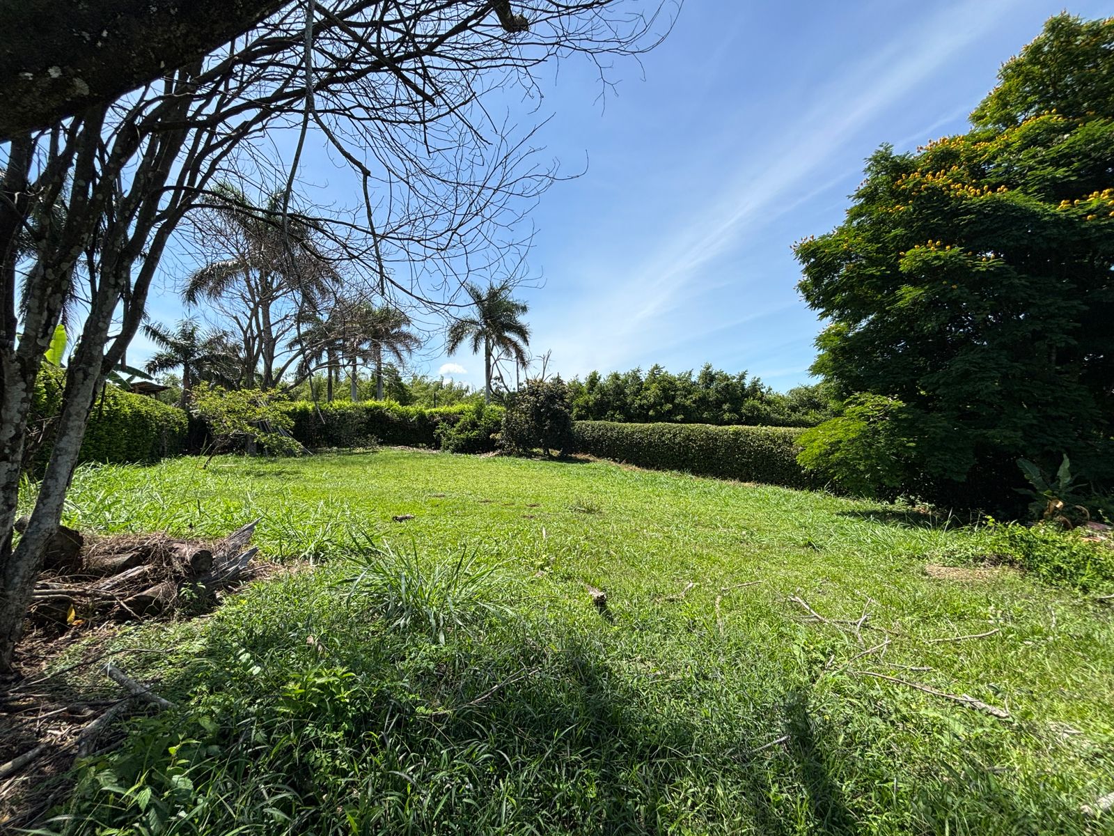 Imagen de Se Vende Lote en Cerritos - Pereira