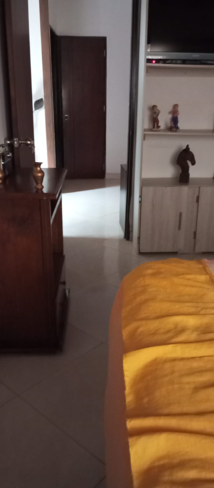 vendo casa en Belen el Porvenir