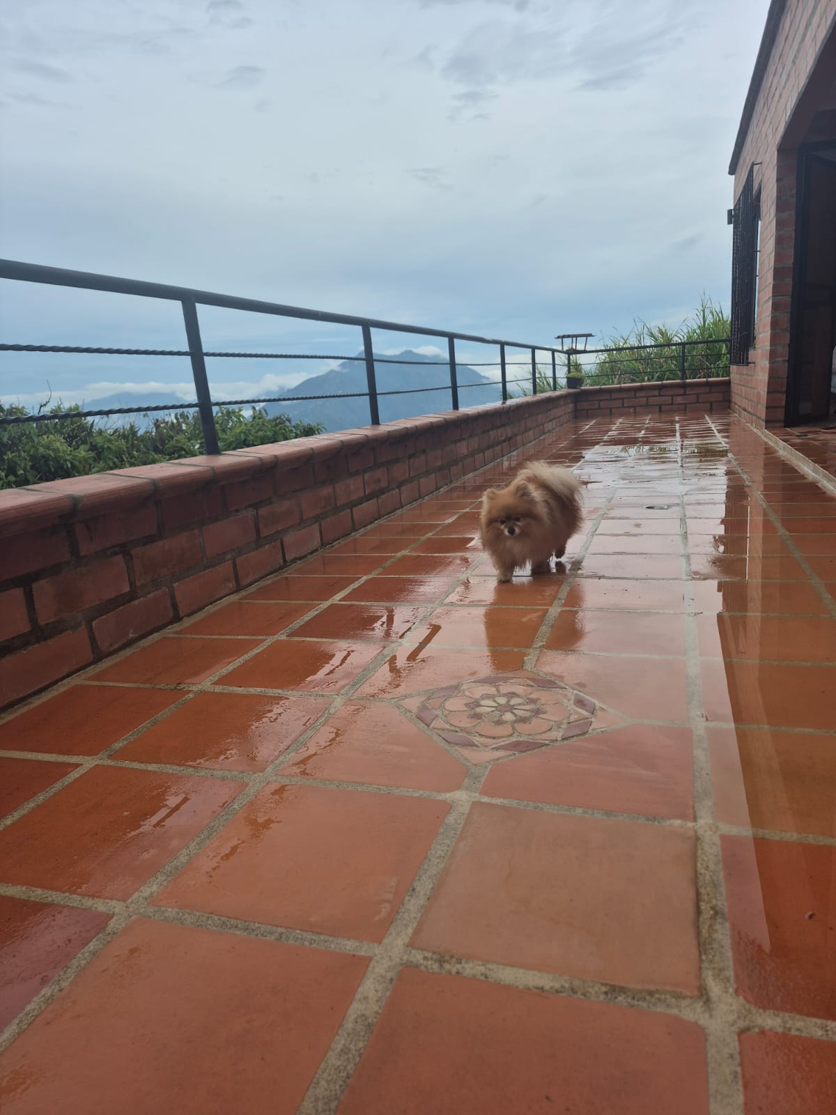 VENDO CASA FINCA EN FREDONIA