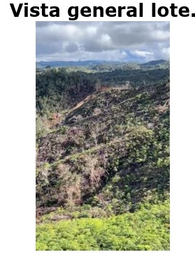 Venta Lote Concepción y San Vicente