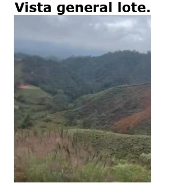 Venta Lote Concepción y San Vicente