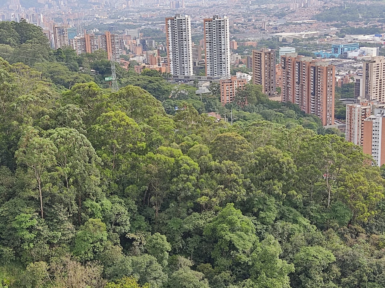 ARRIENDO APARTAMENTO POBLADO TIERRA GRATA