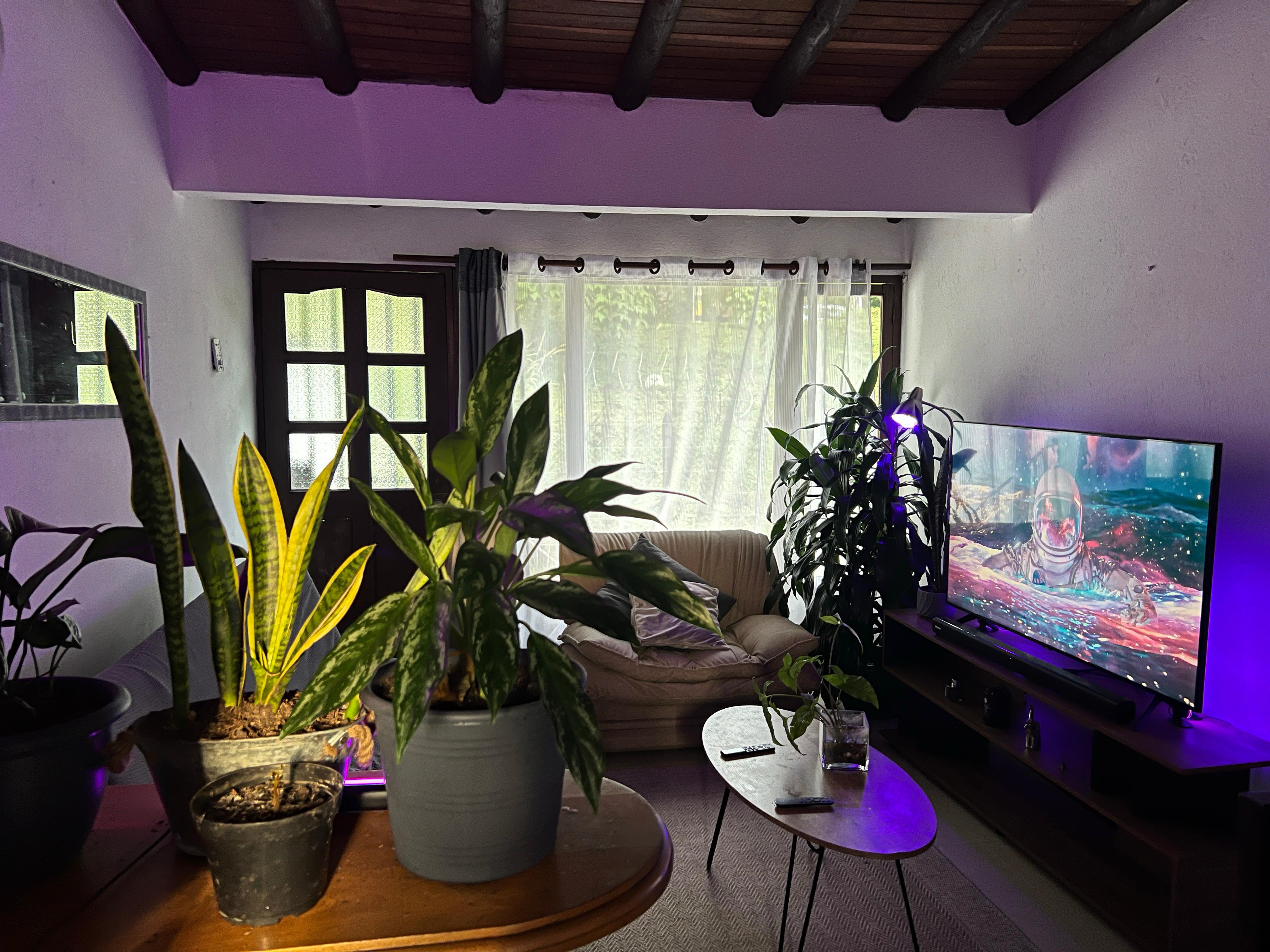 ARRIENDO APARTAESTUDIO AMOBLADO EN EL POBLADO