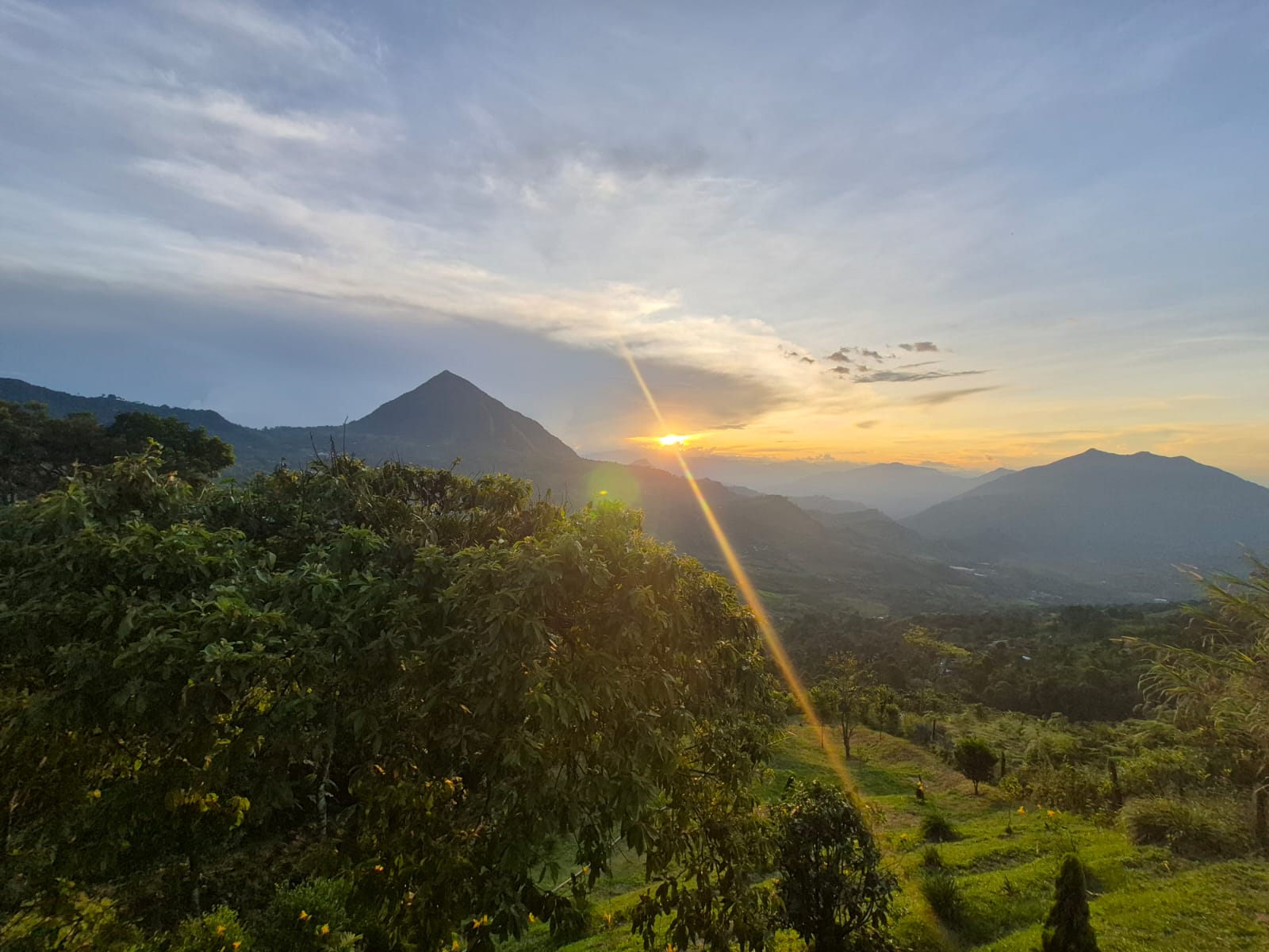 VENDO CASA FINCA EN FREDONIA