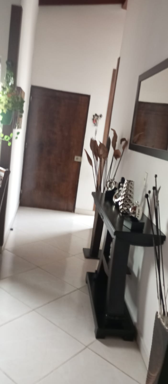 vendo casa en Belen el Porvenir