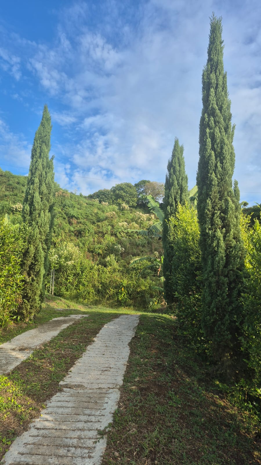 VENDO CASA FINCA EN FREDONIA