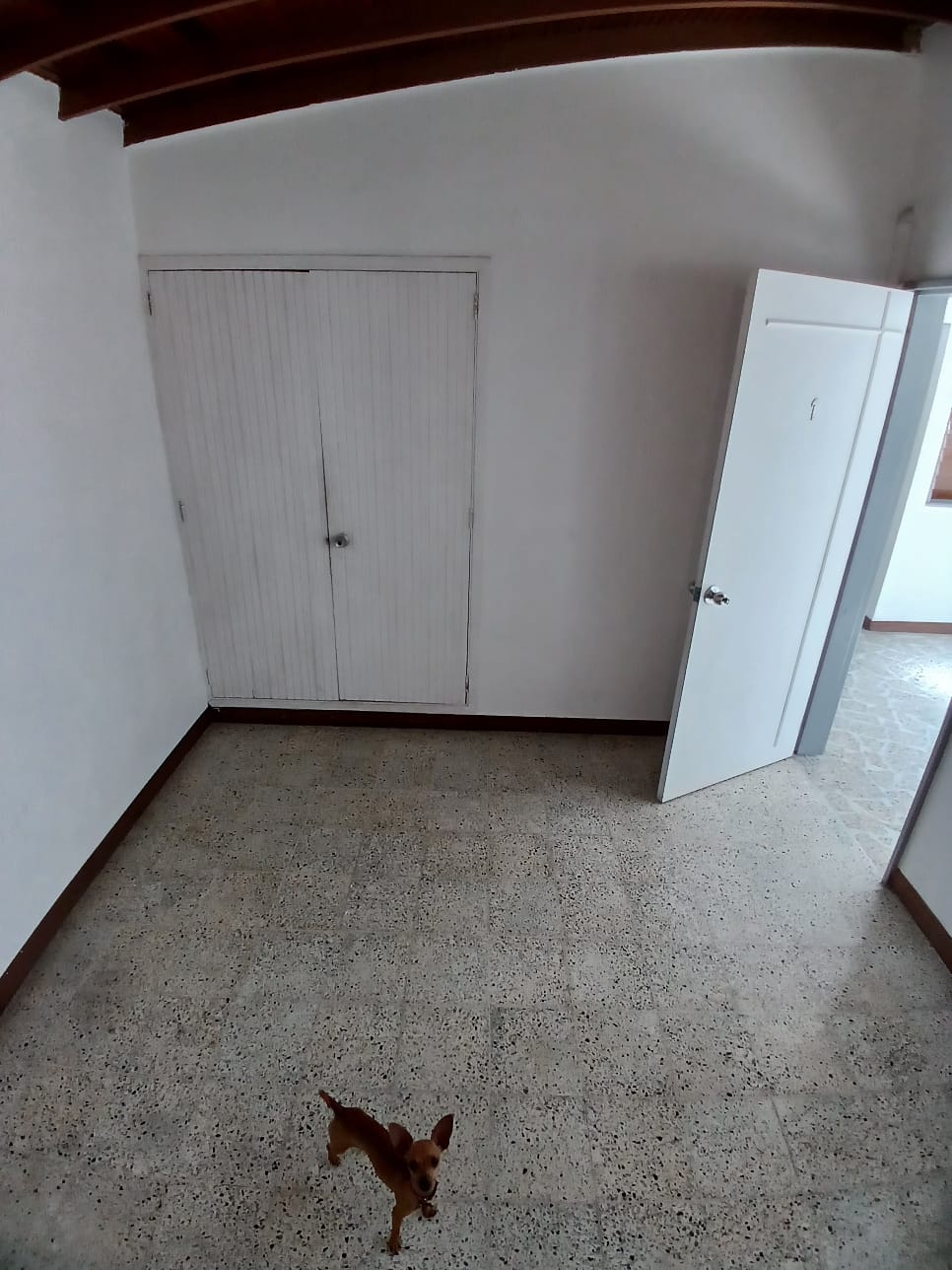 ARRIENDO CASA EN LAURELES