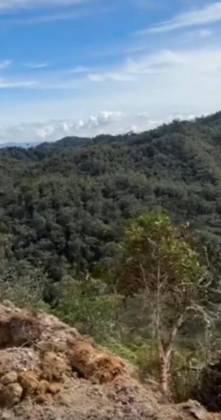 Venta Lote Concepción y San Vicente