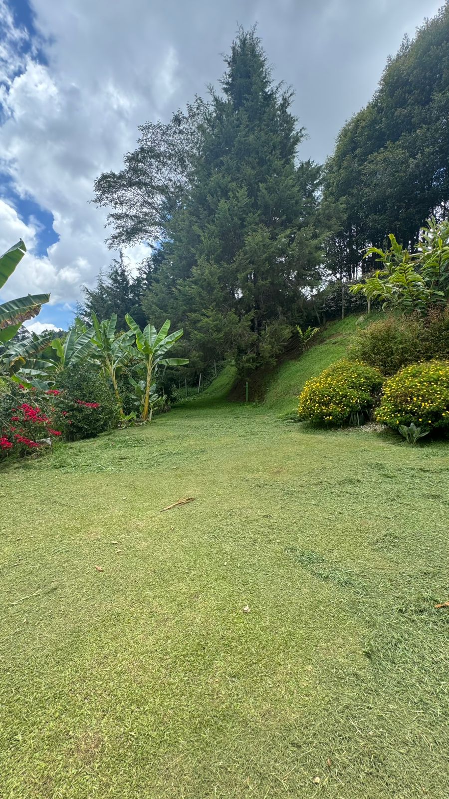 ARRIENDO CASA FINCA EN RIO NEGRO