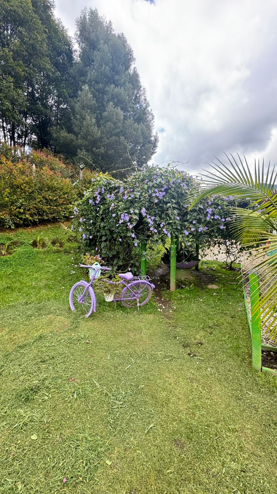 ARRIENDO CASA FINCA EN RIO NEGRO