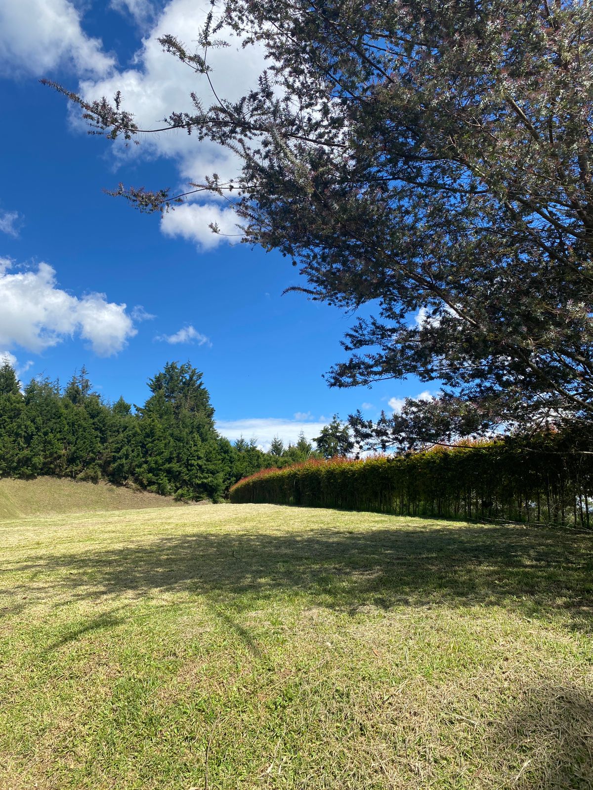 VENDO LOTE EN GUARNE VEREDA MONTAÑEZ