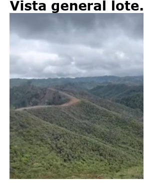 Venta Lote Concepción y San Vicente