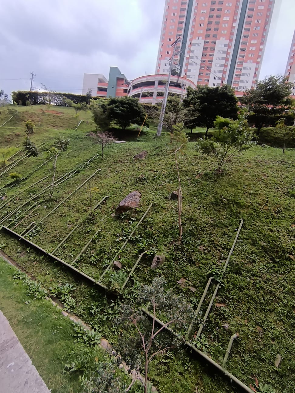 Arriendo Apartamento Robledo Pajarito